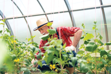 Is Gardening Good Exercise? Image